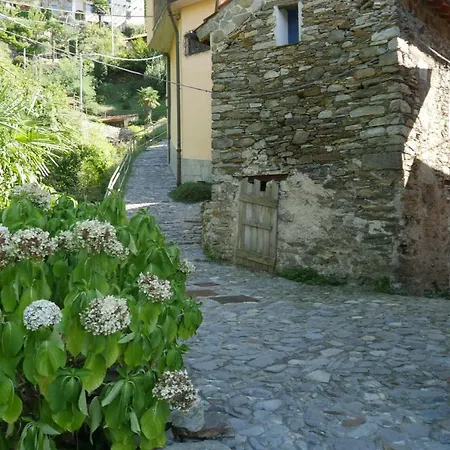 Romantisches Rustico Am Lago Maggiore! - #121518 別荘 Musignano